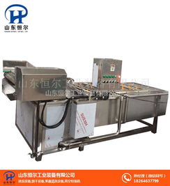 甘藍洗菜機 山東恒爾 甘藍洗菜機生產廠家